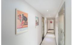 鄭州盤大教育 專業(yè)法語與意大利語服務(wù)，完善您的多語學習之旅